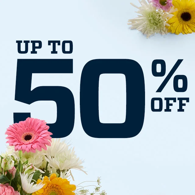 Up to 50% Off