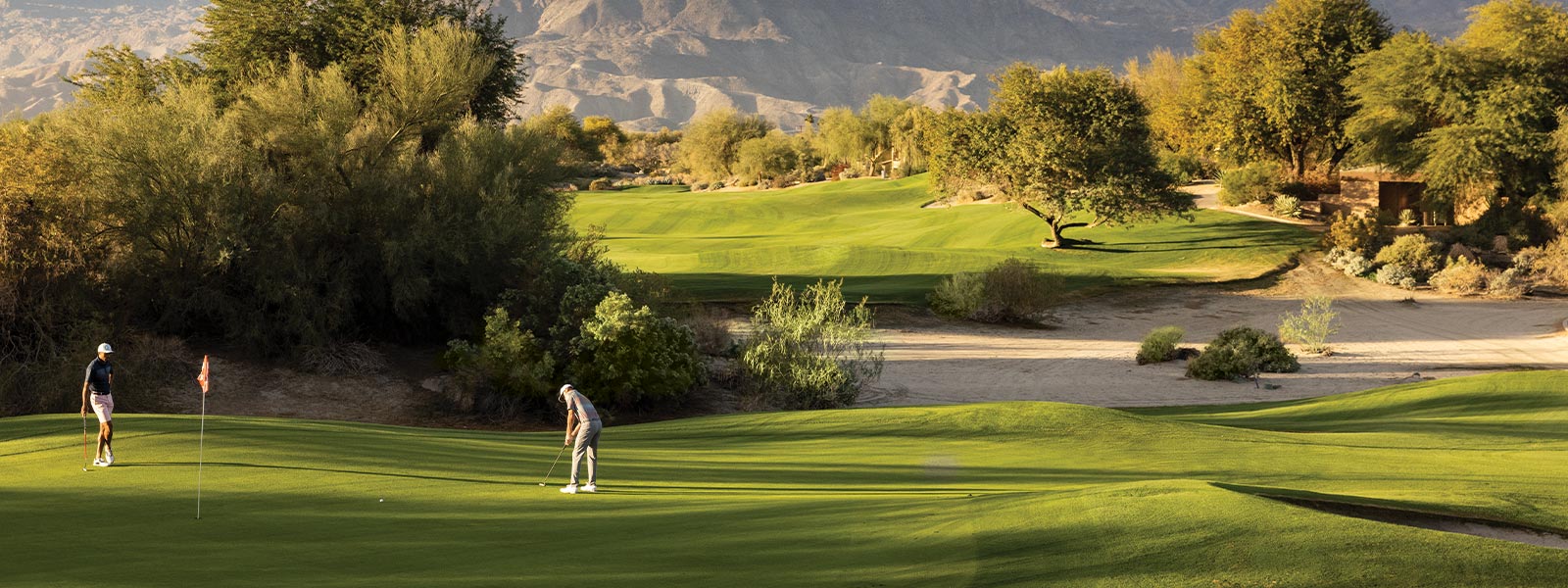 An image of golfers golfing.